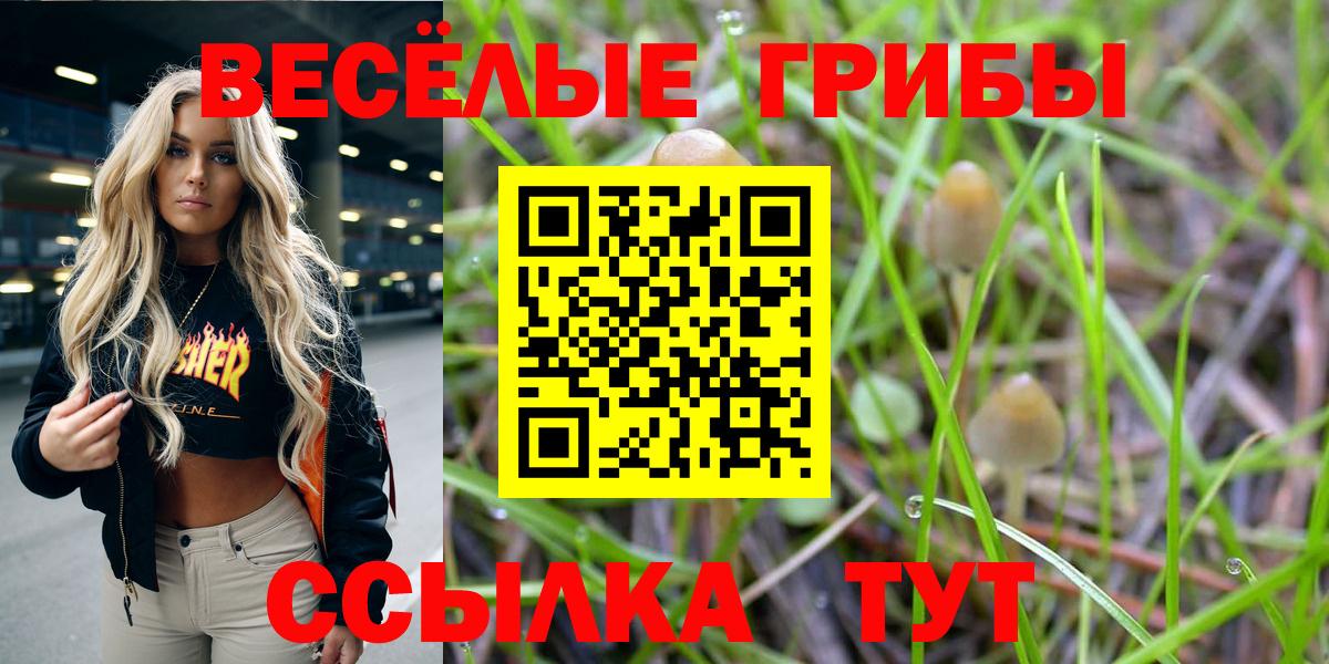 Псилоцибиновые грибы Magic Shrooms Черкесск